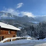 Alpenferienhaus Dachstein-west *