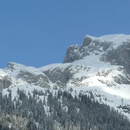 Alpenferienhaus Dachstein-west *