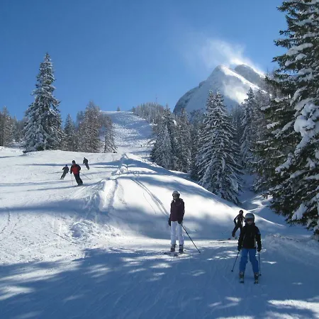 Alpenferienhaus Dachstein-west Semesterbostad